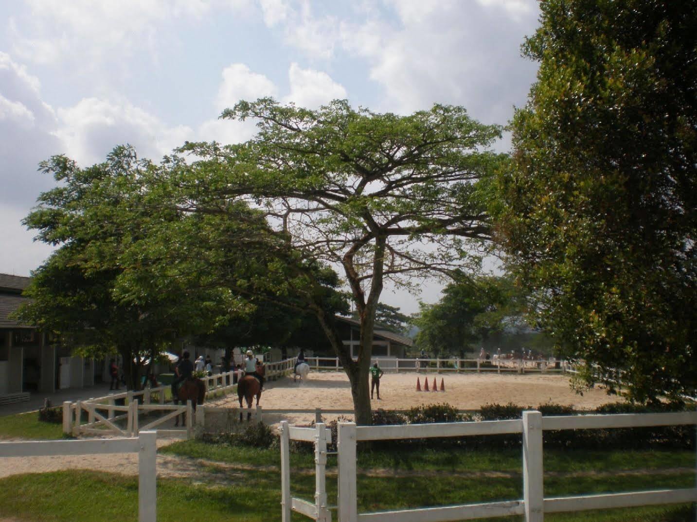Riders Resort Кулай Екстериор снимка